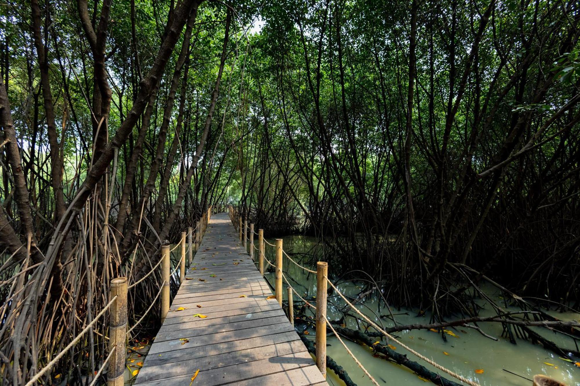 Reddoorz Resort @ Taman Wisata Mangrove Jakarta Ngoại thất bức ảnh